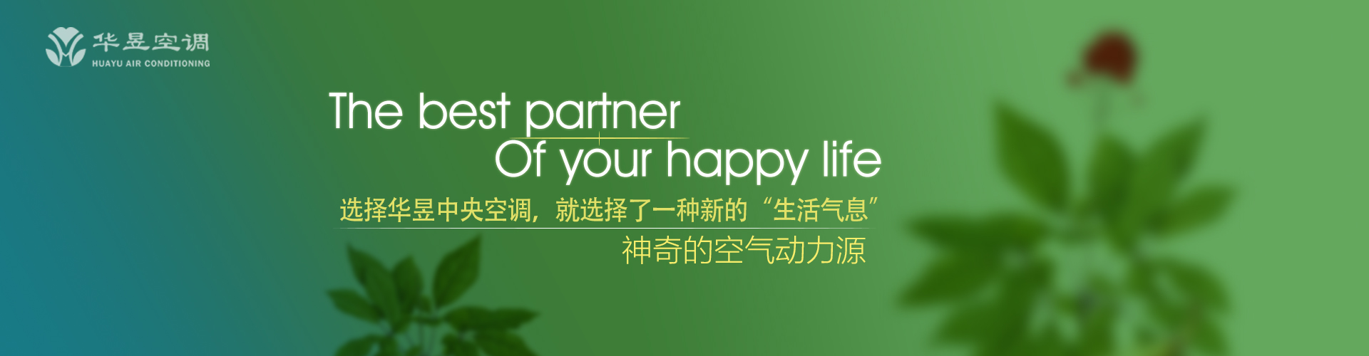 中心摇摇网